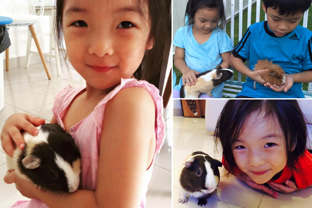 Kids and pets - Amanda with guinea pigs