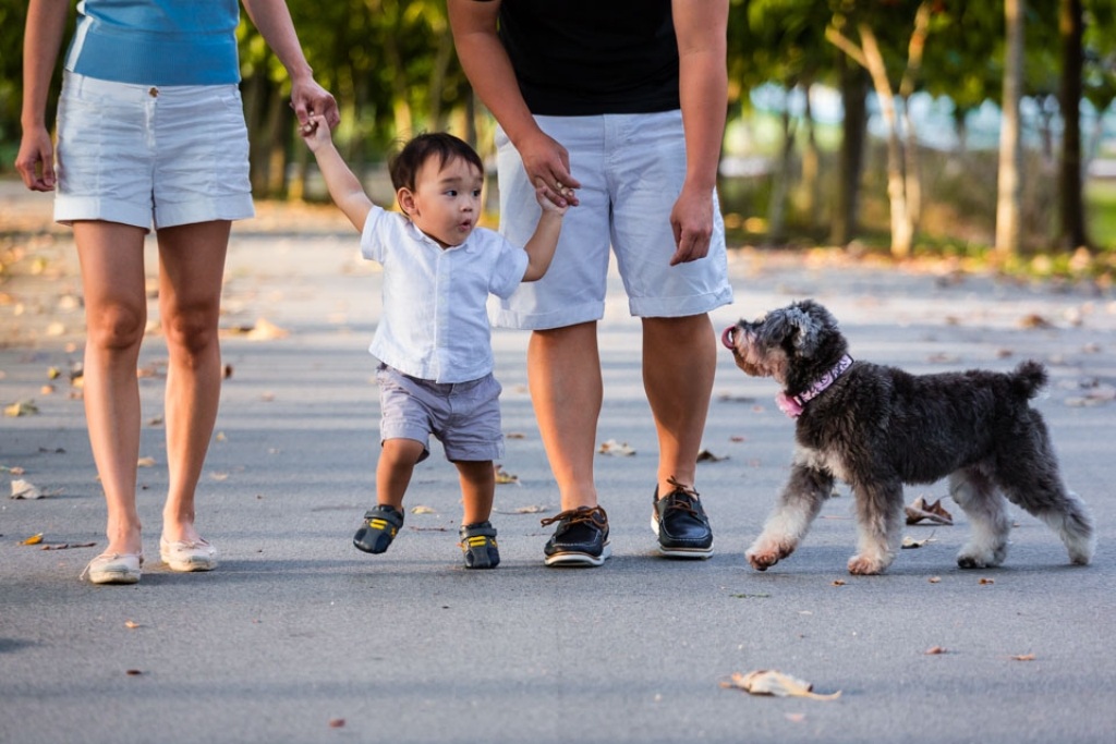 Kids and pets - Elliott and Moon