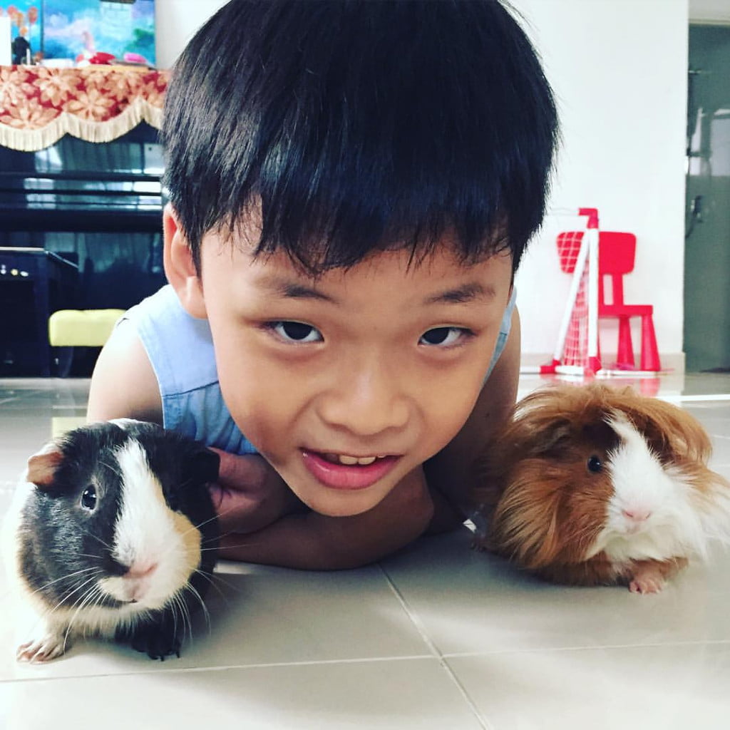 Kids and pets - Elliott with guinea pigs