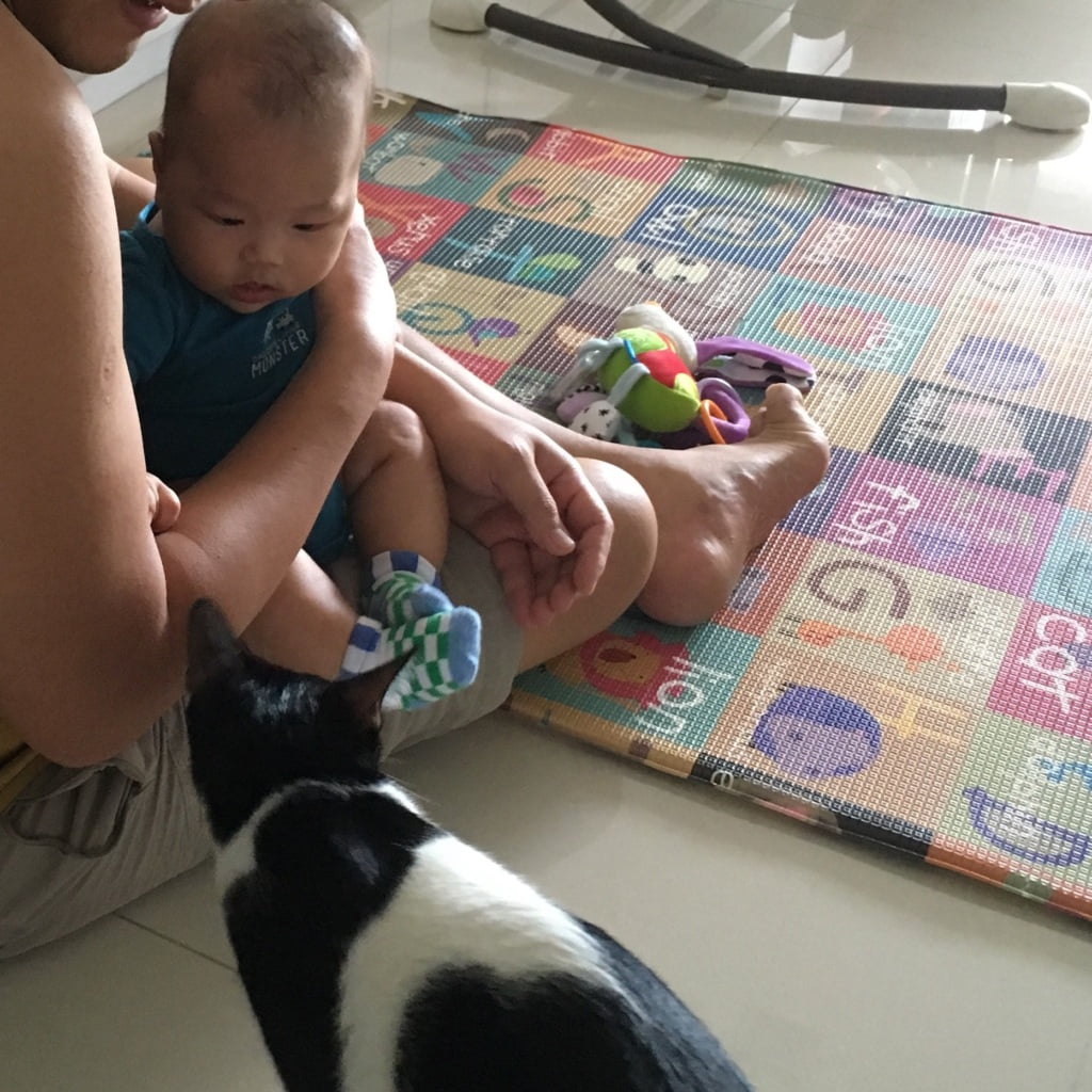Kids and pets - Liam and Darth Mao
