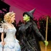 10 Reasons You Should Take Your Kids to Watch WICKED the Musical