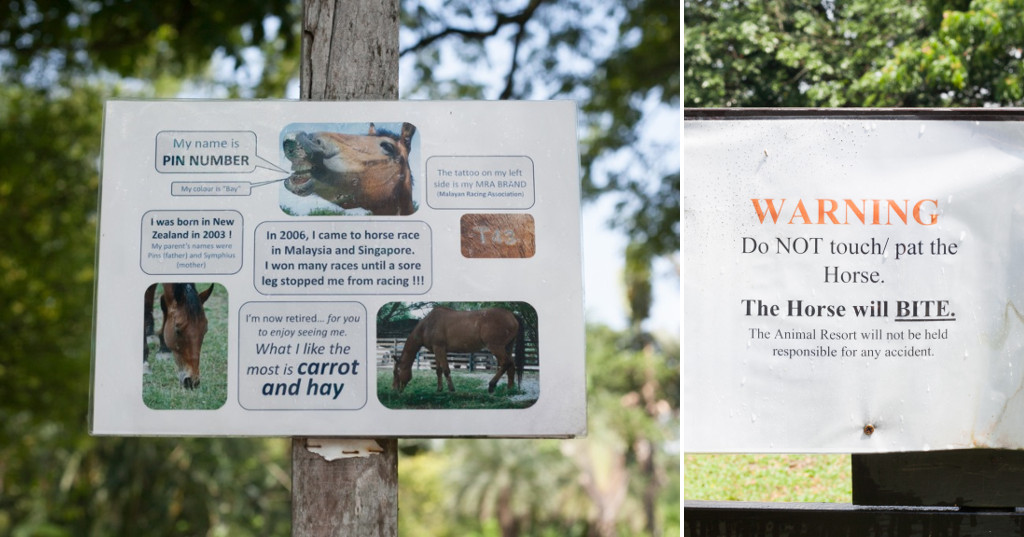 The Animal Resort - horse-sign