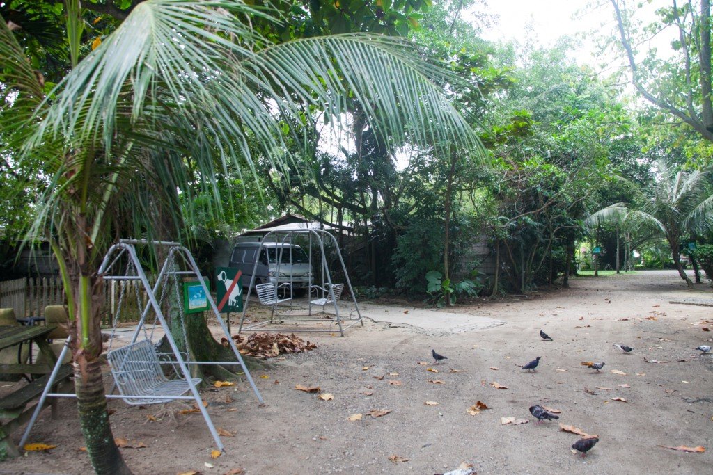 The Animal Resort - swings