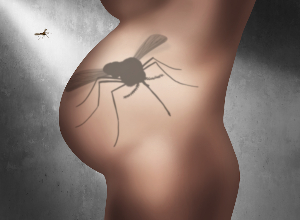 Zika Pregnancy Fear