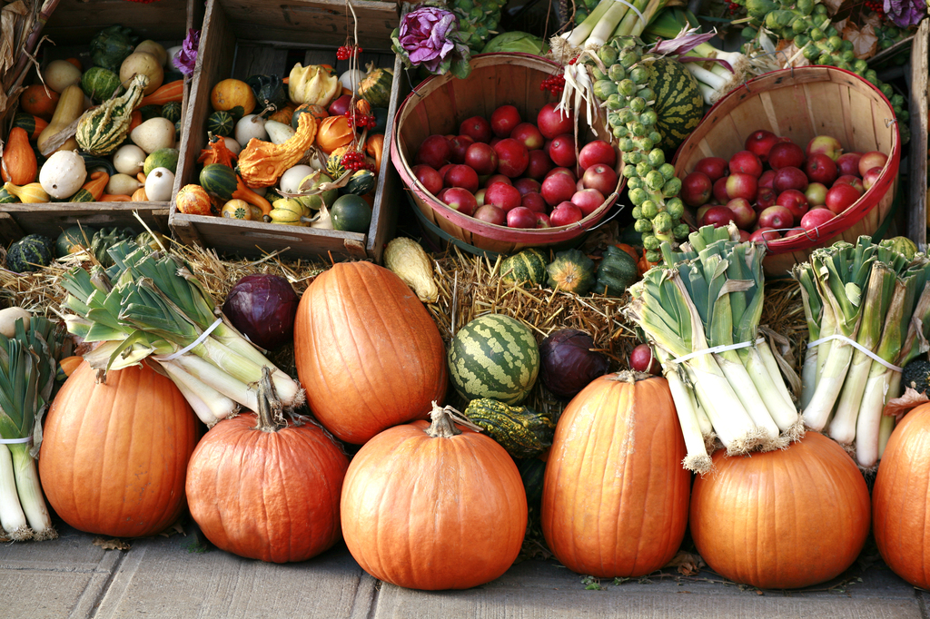 Pumpkins and gourds at farmer's market.