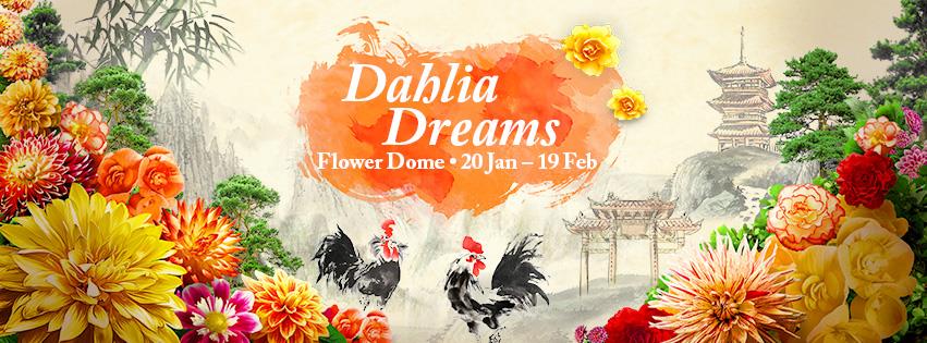 Dahlia Dreams at Gardens by The Bay