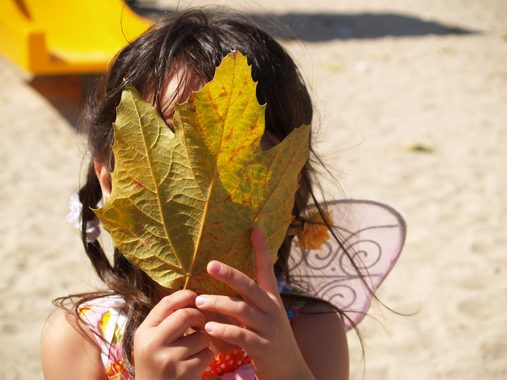 Girl hiding her face with yellow maple tree leave