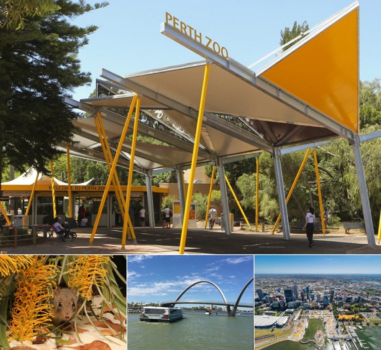 kid-friendly hotels in Perth - Perth Zoo Elizabeth Quay