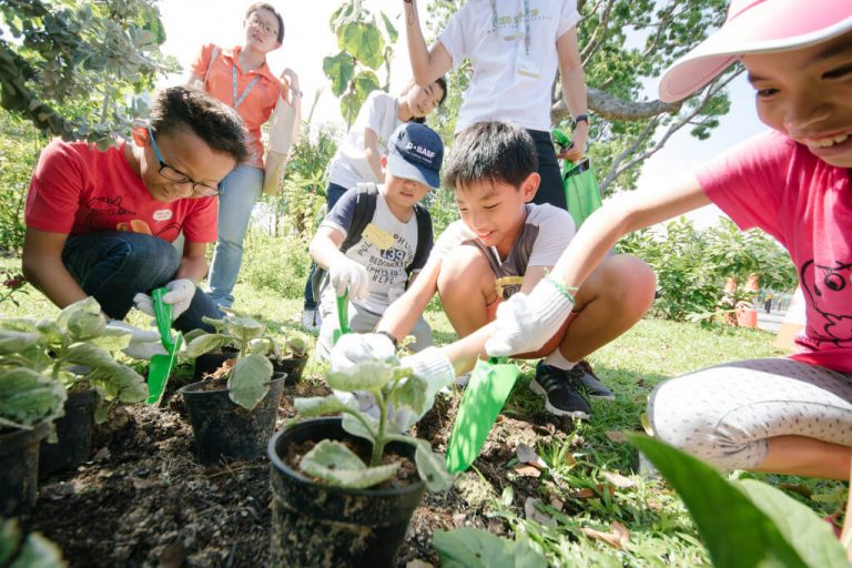 June school holidays - garden troopers