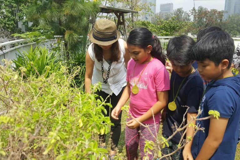 June school holidays - plant story