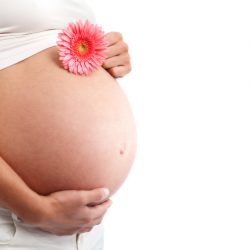thomson medical - fertility bump