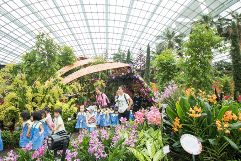National Day 2017 - orchid-extravaganza