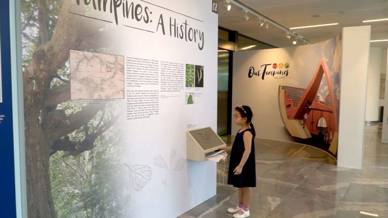 Tampines Heritage Trail -Our Tampines Gallery
