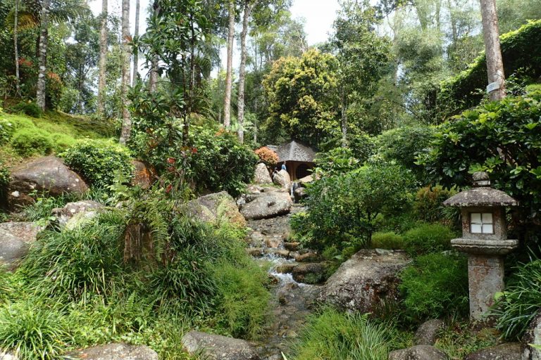 colmar tropicale review - japanese garden