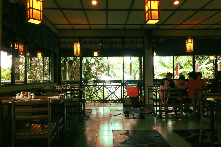 colmar tropicale review - japanese restaurant