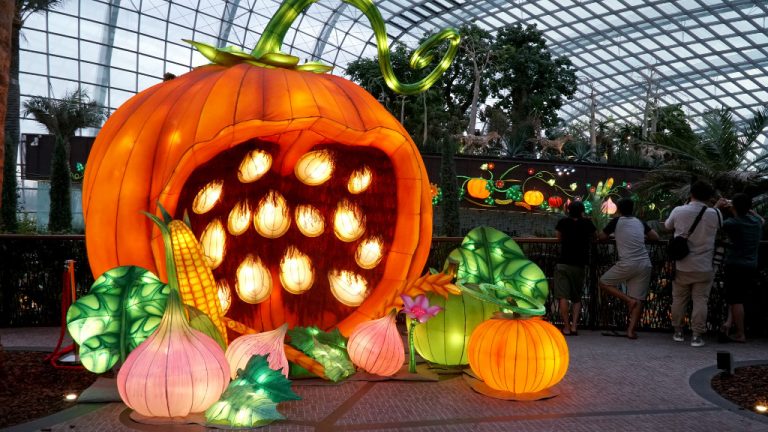 mid-autumn 2017 - giant pumpkin