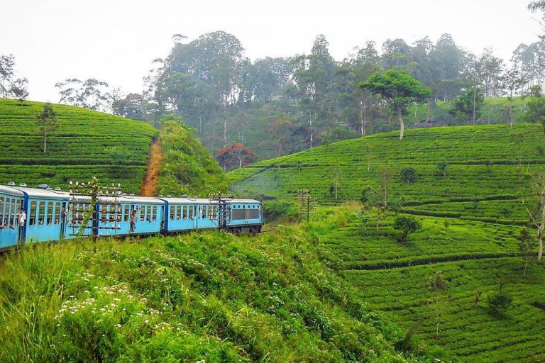 sri lanka-nuwara-eliya