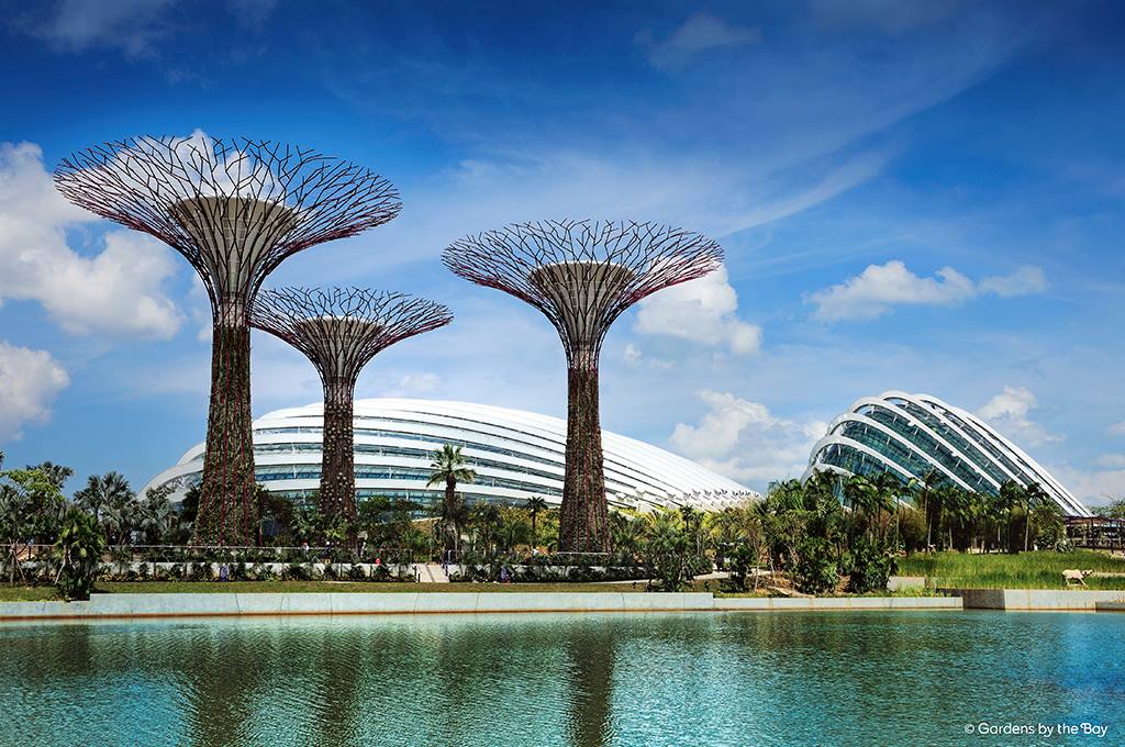 annual family passes - gardens by the bay