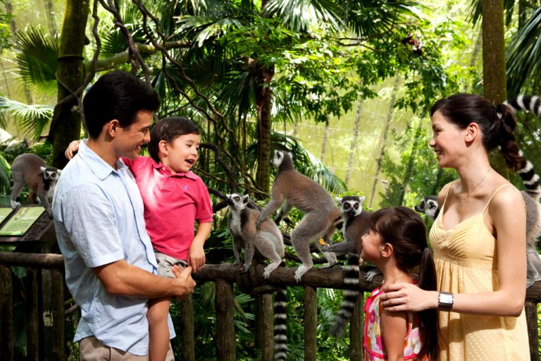 annual family passes - singapore zoo