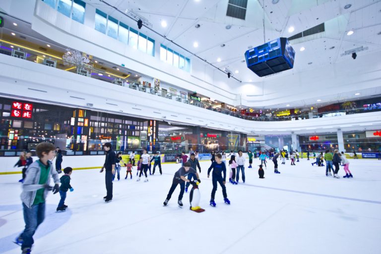 sports academies for kids - the rink
