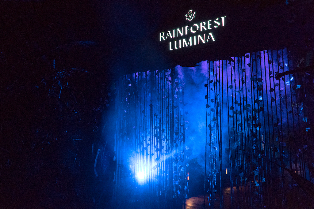 Rainforest Lumina Arch