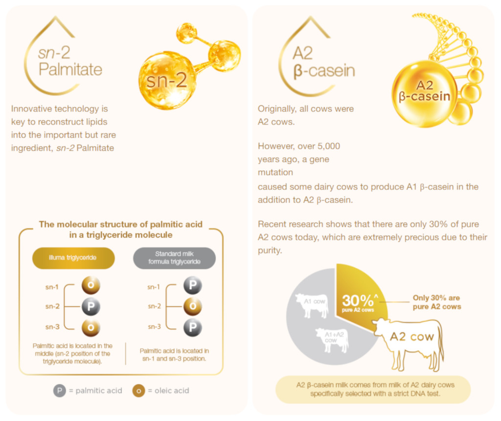 about sn-2 palmitate and A2 B-casein