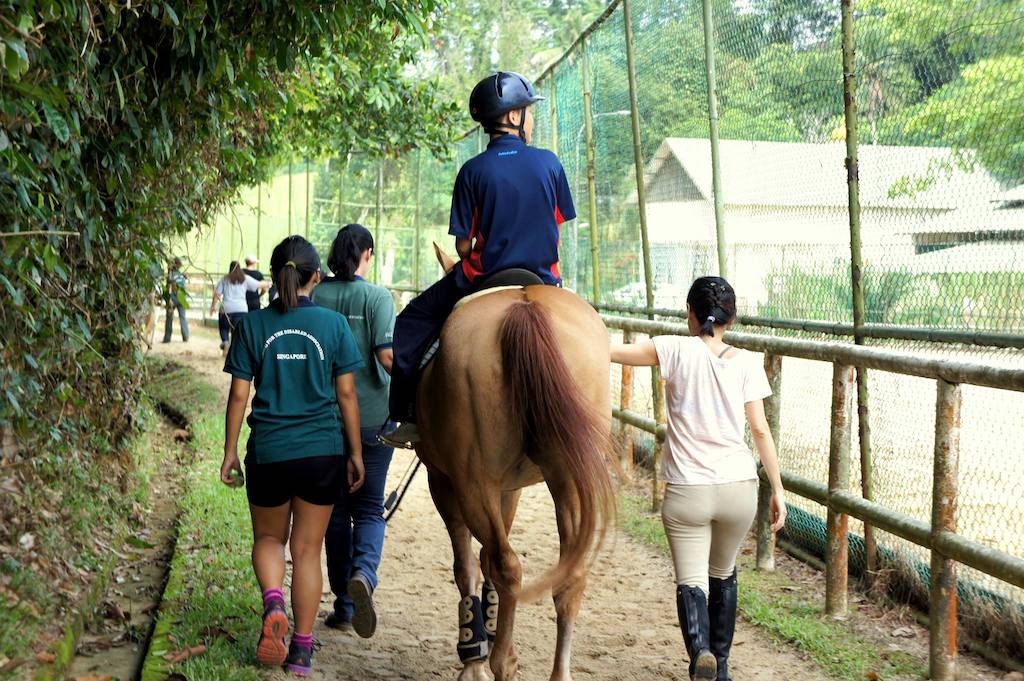 volunteer in Singapore - Riding for the Disabled Association Singapore