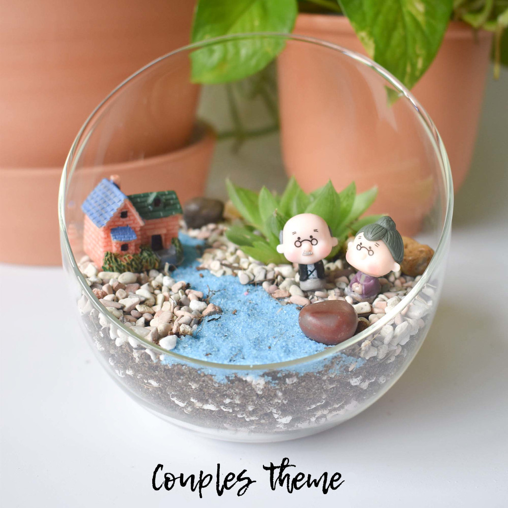 Valentine’s Day 2021 succulent terrarium kit from Craftsforgreen