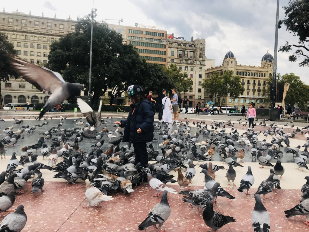 Laissez-faire parenting - Jude feeding pigeons in Barcelona, Spain