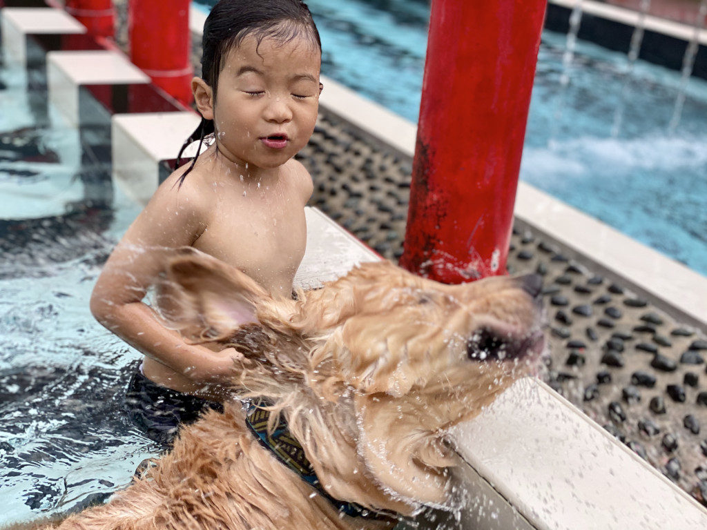 Jude in a doggy pool