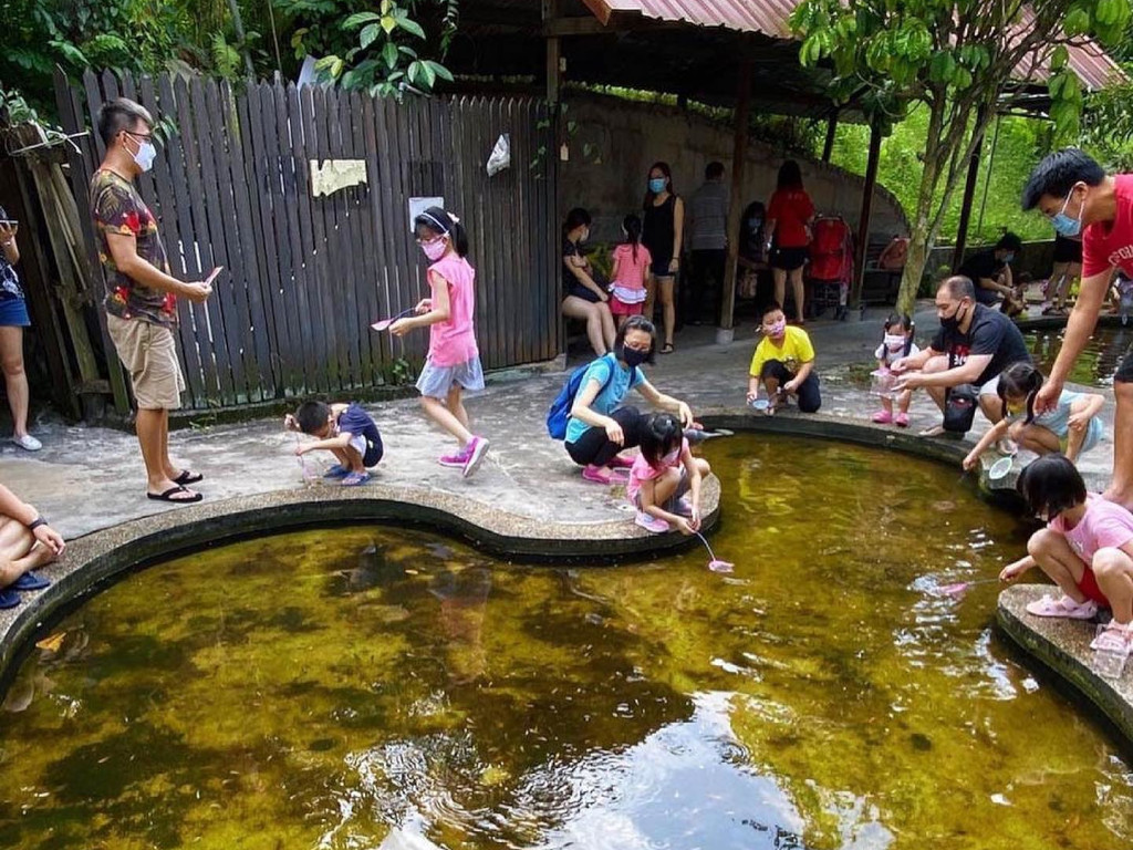 Qian Hu Fish Farm longkang fishing