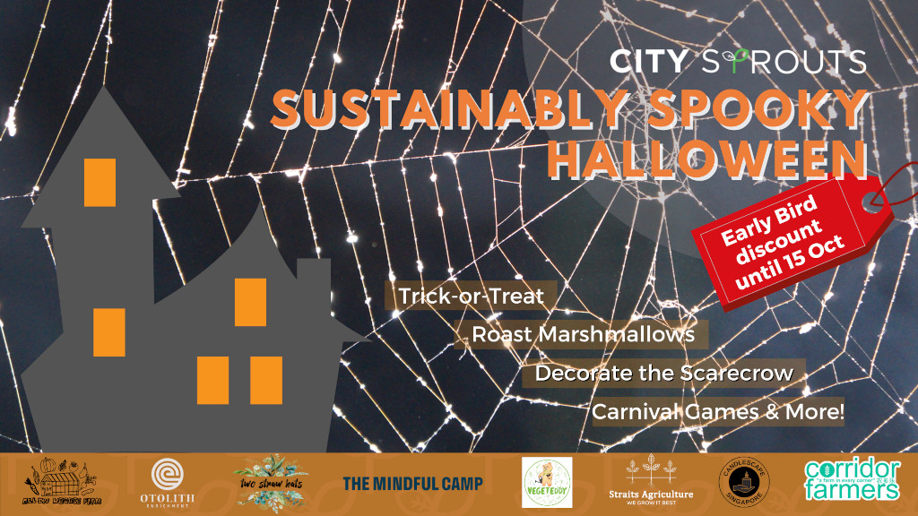Halloween 2021 - City Sprouts’ Sustainably Spooky Halloween