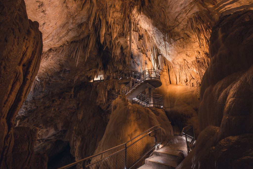 Hasting Caves and Thermal Springs