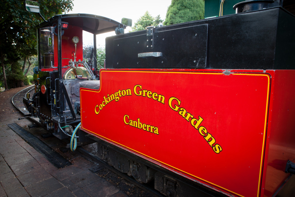 Cockington Green Gardens steam train ride