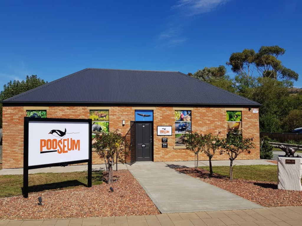 kid-friendly adventures in Australia at Pooseum