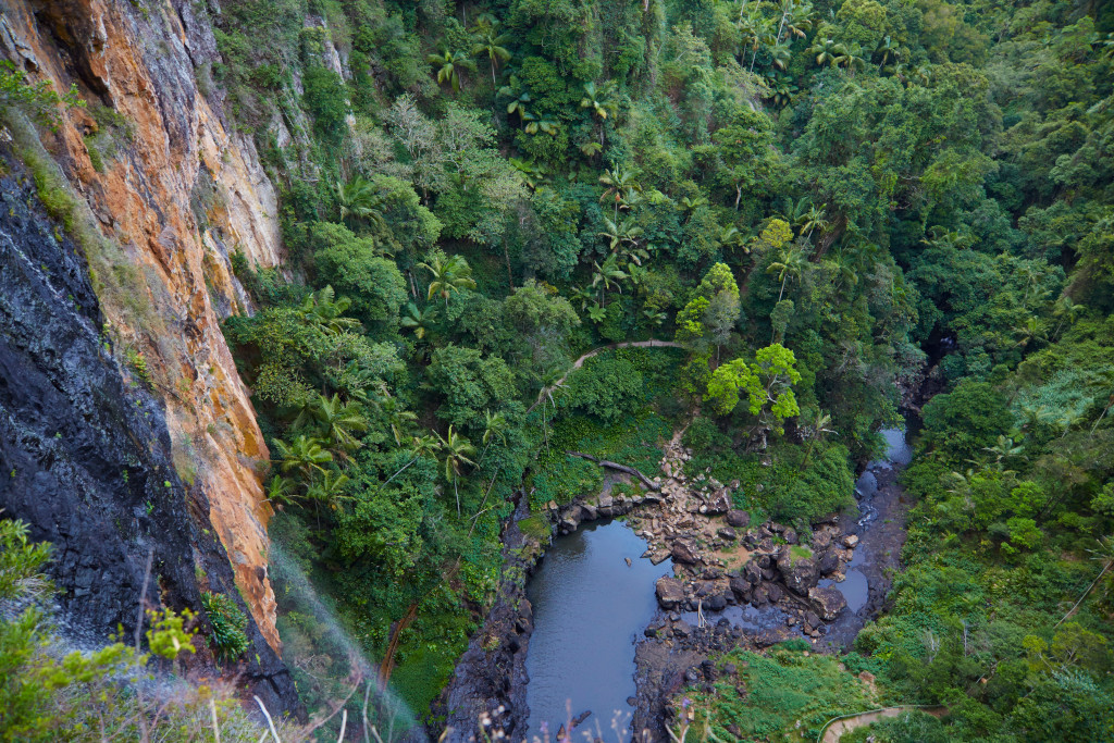 Cougal Cascades in Springbrook National Park