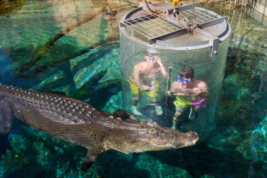 Cage of Death at Crocosaurus Cove