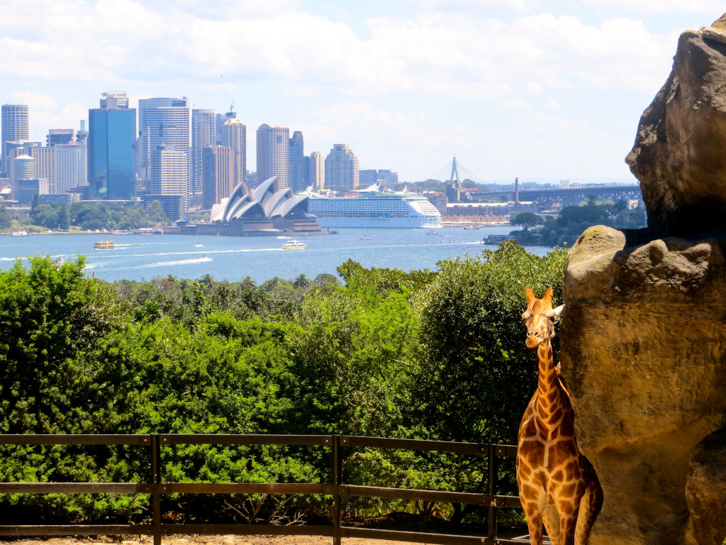 kid-friendly adventures in Australia at Taronga Zoo Sydney