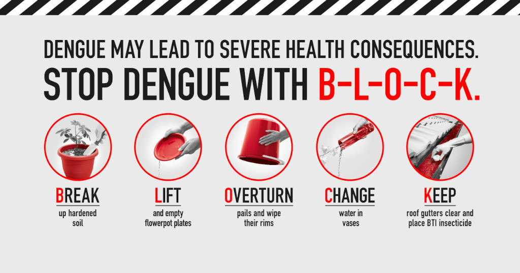 Stop dengue with BLOCK - dengue vaccine?