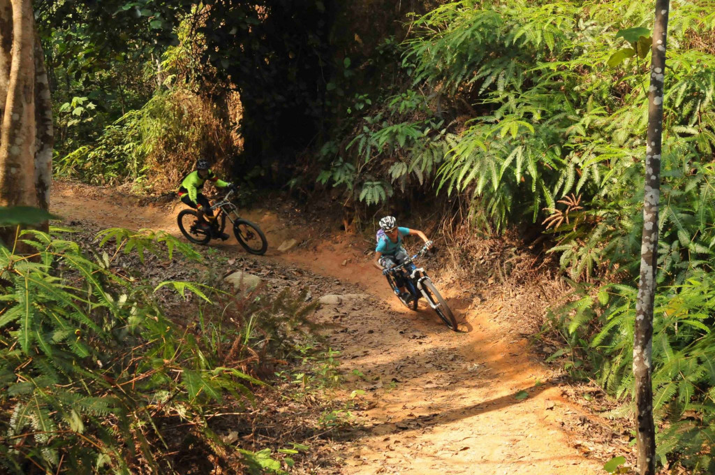 cycling trails in Singapore - Chestnut Nature Park