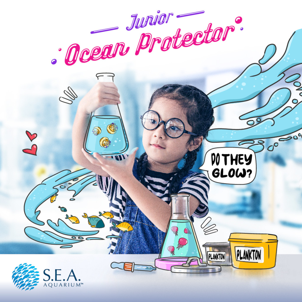 Become a Junior Ocean Protector this year-end school holiday