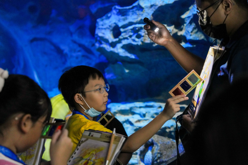 Junior Ocean Detective at S.E.A. Aquarium