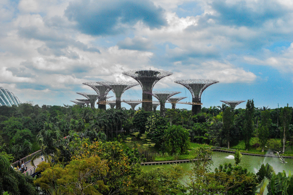 intergenerational activities at Gardens by the Bay
