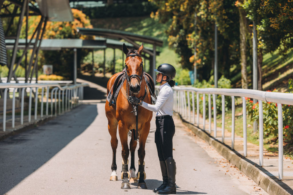 Singapore Turf Club Riding Centre Equine Wellness Programme