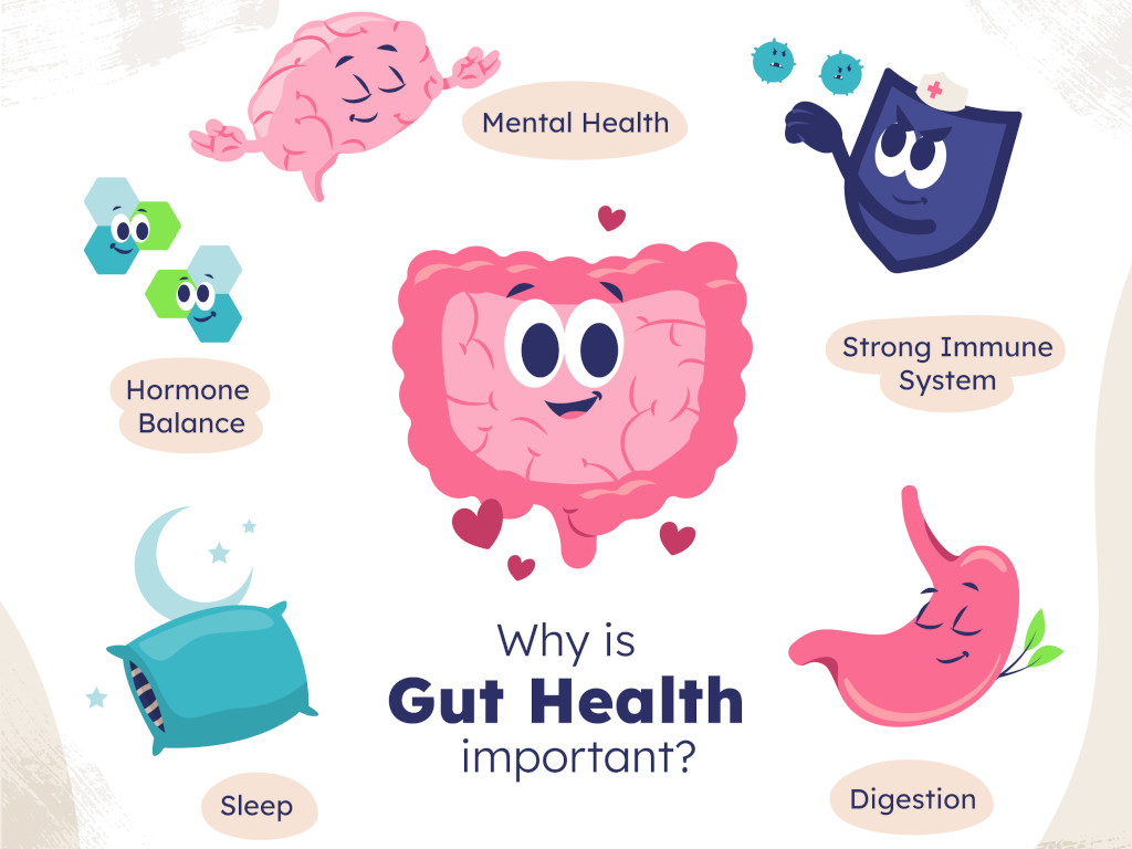gut health infographic