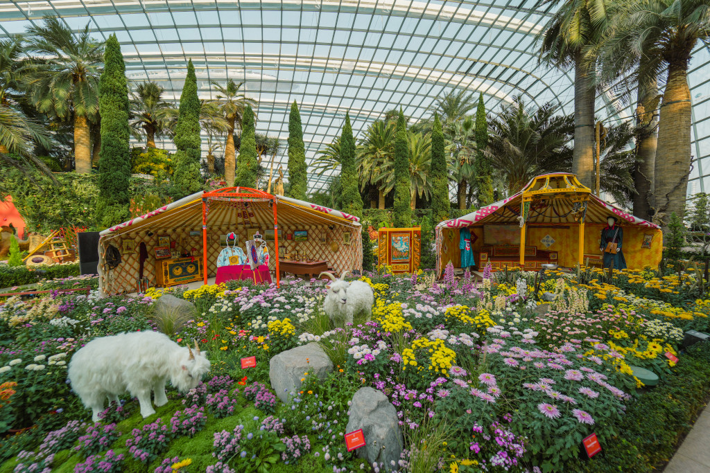 Gardens by the Bay presents Chrysanthemum Charm