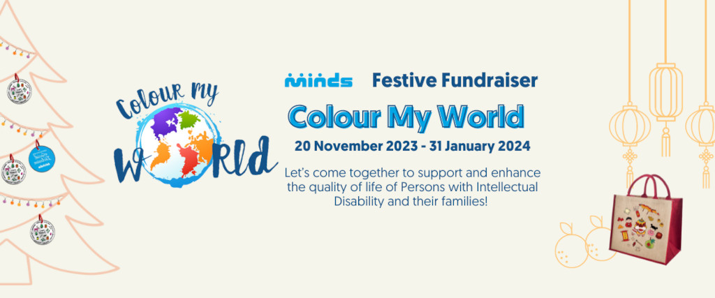 Colour My World: MINDS Festive Fundraiser