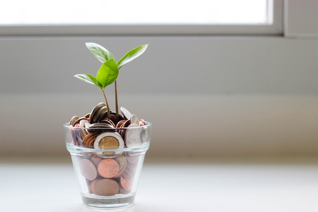Plant growing out of a pot of money (coins)

