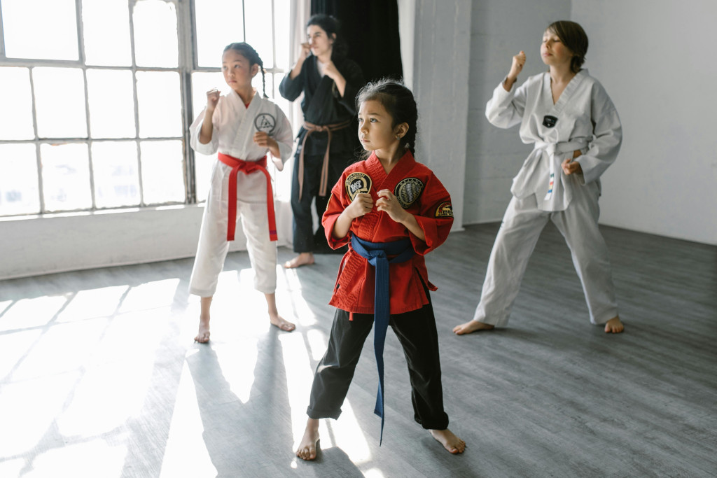 education system - karate belts