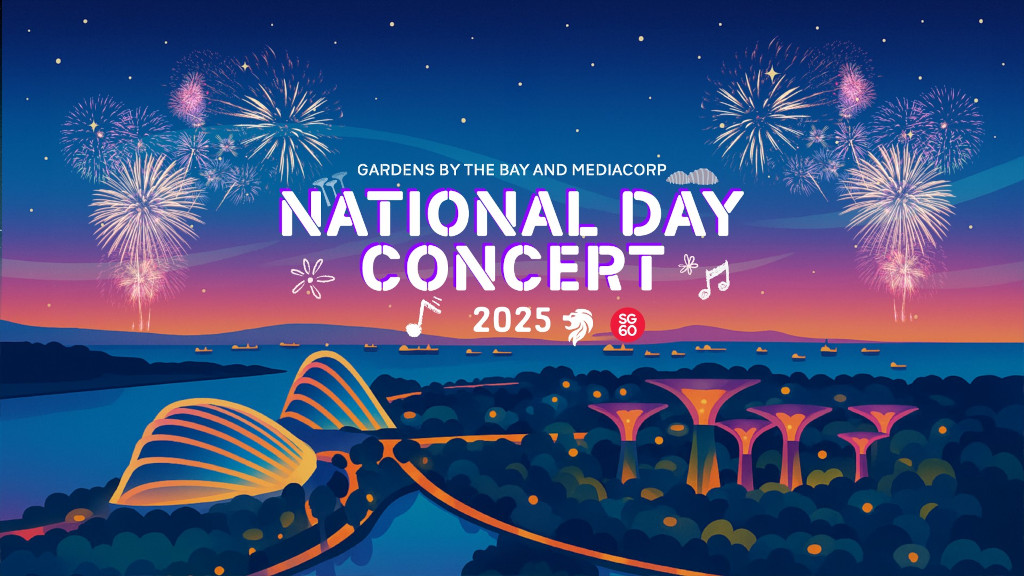National Day fireworks at Mediacorp National Day Concert